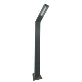 30w Slantex Pole Light with side Purple Strip SLEDSL031 30w Slantex Pole Light with side Purple Strip SLEDSL031